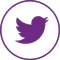 twitter icon